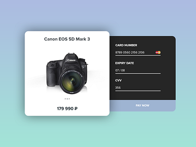 Credit Card Checkout bg canon checkout credit card flat pay ui ux