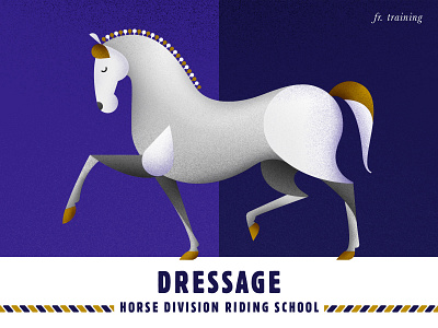 Horse | Dressage animal dressage equestrian horse horse training horses illustration riding vector