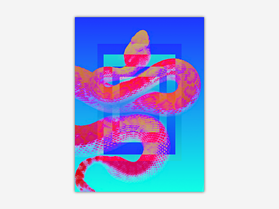 Snake poster bright colorful poster poster design snake