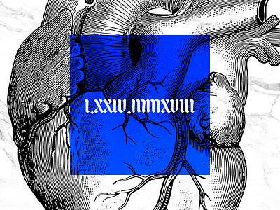 Heart-I.XXIV-02 art direction typography