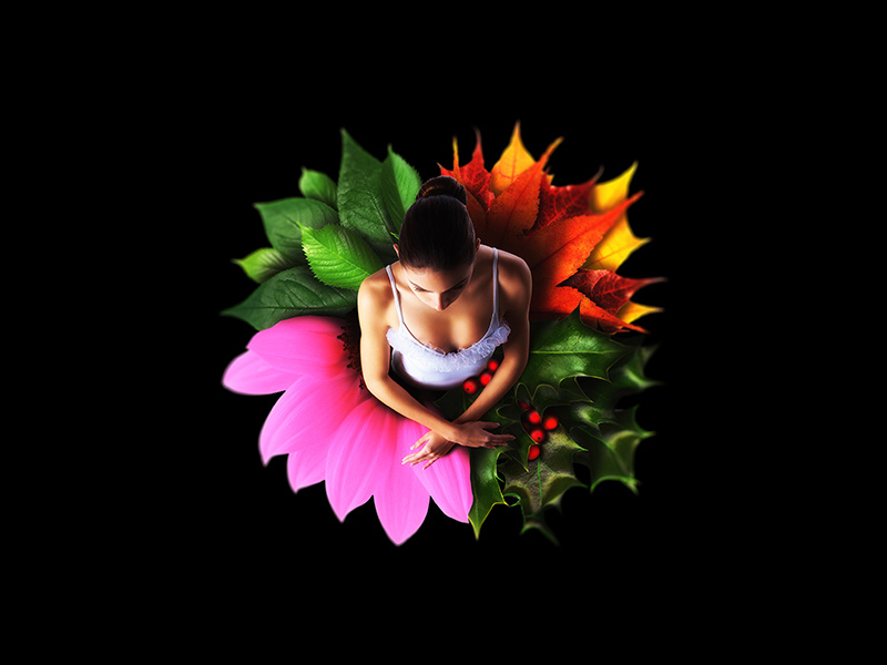 'Seasons' Ballet Ballerina Concept photography bloom colorful photoshop image manipulation flowers leaves ballerina ballet seasons