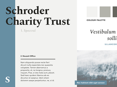 Schroder branding blue brand identity layout logo serif typography web website