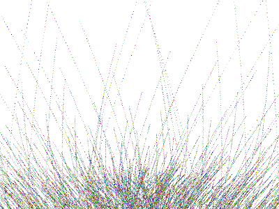 Algorithm grass code art generative processing