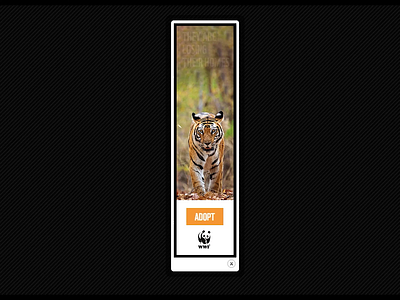 World Wildlife Fund (UK) ads banners brand code coding design google studio gsap html5 iab layout layouts photoshop social media socialmedia world wildlife fund wwf