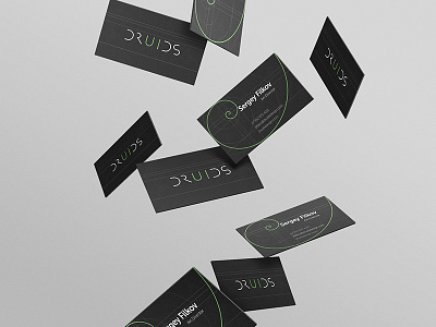 Druids Design Cards business card clean design editorial logo minimal mockup studio typography