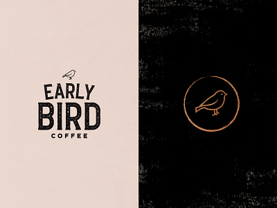 Early Bird Coffee Roaster Logo ☕ artdirection artwork bird logo coffee logo coffee roasters early bird logo vectorart vintage style logo