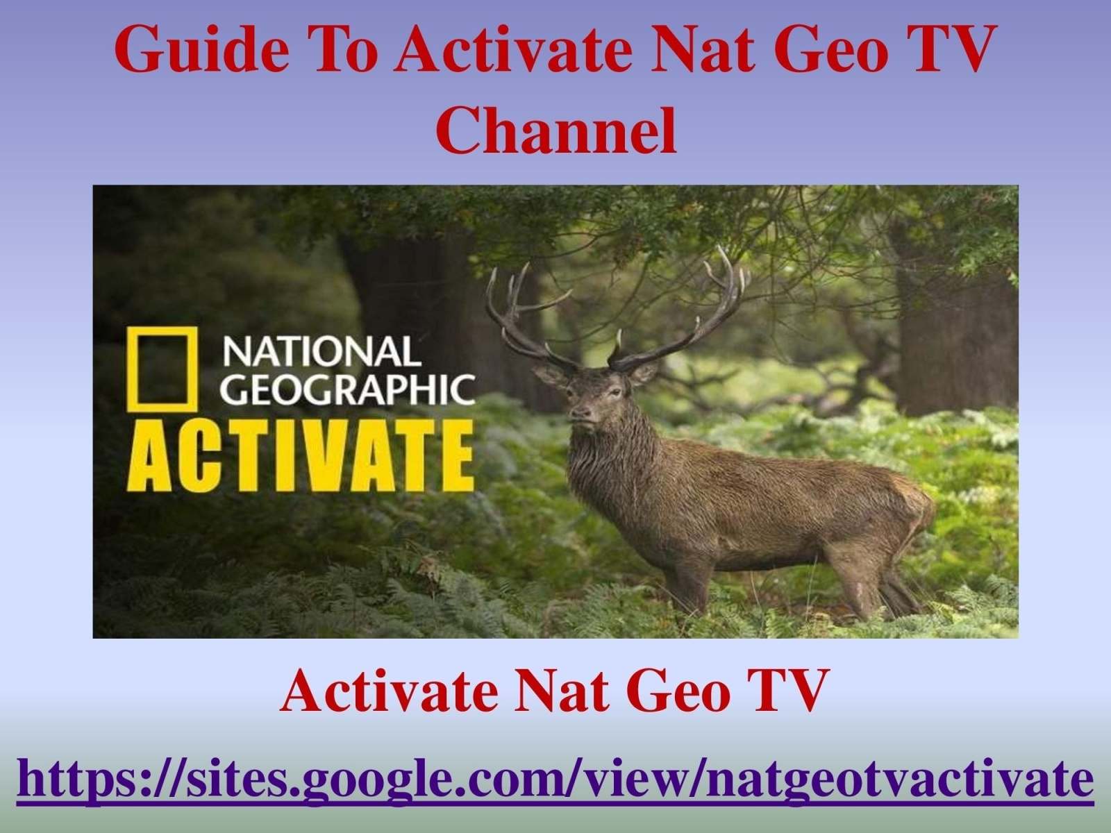 Guide To Activate Nat Geo TV Channel by korry jhonson on Dribbble