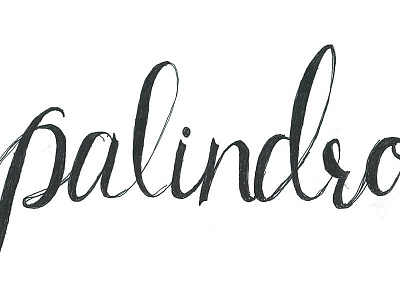 Palindrome hand lettering jensenwarner lettering