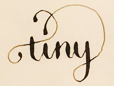 tiny calligraphy jensenwarner practice tiny