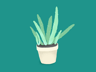 Houseplant Drawing #1 - Aloe Vera