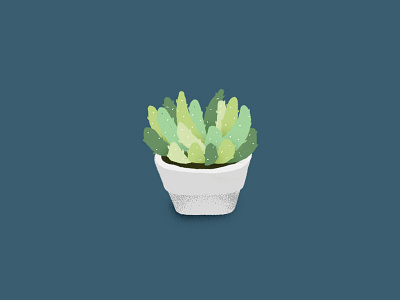 Houseplant Drawing #2 - Succulent illustration plant succulent