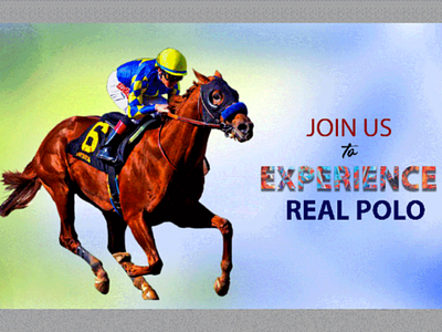 POLO BANNER design experience play polo