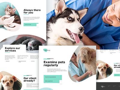 Anima blog design landing page product site sketch typography ui ux veterinary web