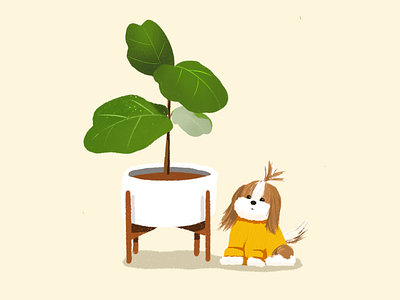 Coco & Plant casestudy dog illustrator modernica plant tree