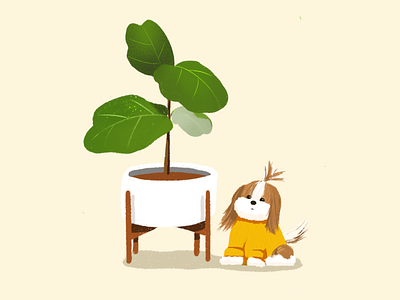 Coco & Plant