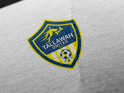 Logo for Soccer Team logo soccer team