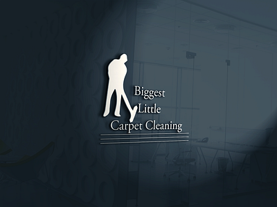 Biggest Little Carpet Cleaning