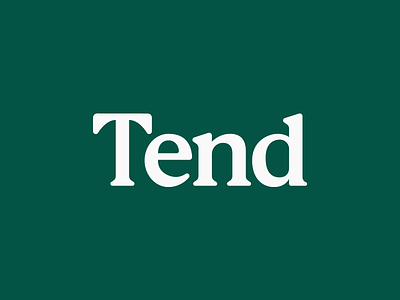 Tend Logo identity logo logo design logotype mark typography