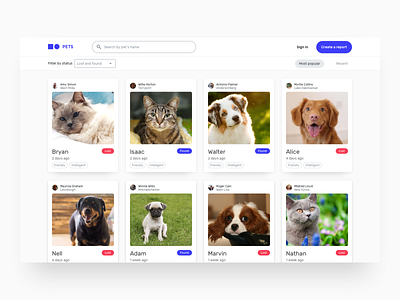 Pets concept UI design ui ux visual design