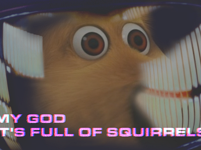 My God Its Full Of Squirrels