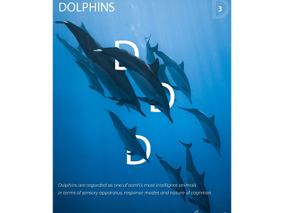 Dolphin poster blue blues branding design dolphin dolphin logo dolphins illustration logo design photography photoshop portrait poster poster art poster design white wildlife art wildlife photography