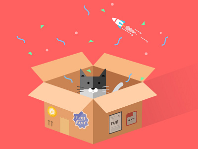 Shipping Box 2d barrel cat flat illustration rocket ux vector