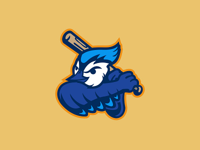 Dunedin Blue Jays Rebrand Concept art direction blue jays concept design illustration logo minor league baseball rebrand rebranding sports sports design toronto