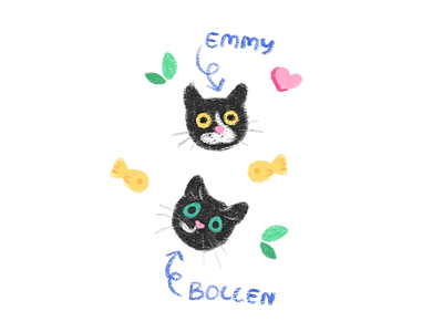 Bollen and Emmi cat cute illustration procreate