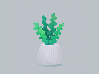 Fishbone cactus cactus grain houseplant illustration plants procreate