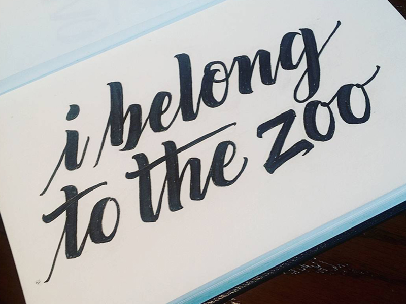 I Belong To The Zoo Album Custom Lettering