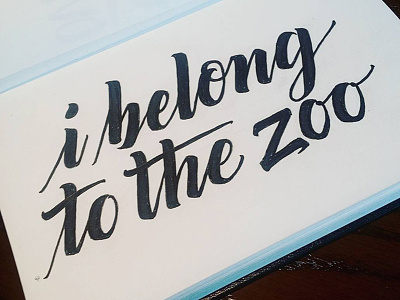 I Belong To The Zoo Album Custom Lettering custom lettering custom typography hand drawn type handlettering lettering logotype script sketch