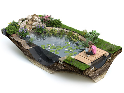 Liner Pond 3D Infographic 3d creative cut away cutaway ecology garden infographic lake nature plants pond water