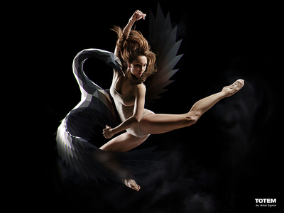 Low Poly Artwork - Swan animal ballet dance illustraion low poly low poly swan lowpoly lowpoly swan lowpolyart lowpolygon mascot soul spirit sports swan totem