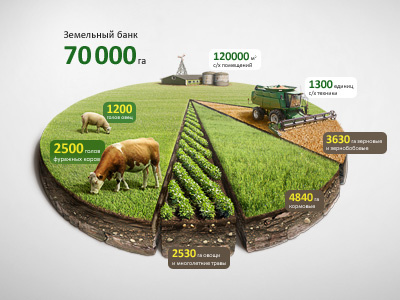 Infographic Agro Chart Illustration (data visualization) aerial agro annual chart compositing cow cut data diagram farm graph graphic grass harvester illustration info infographic infographics information matte mattepainting plot potato report retouch rural sheep view visualization wheat