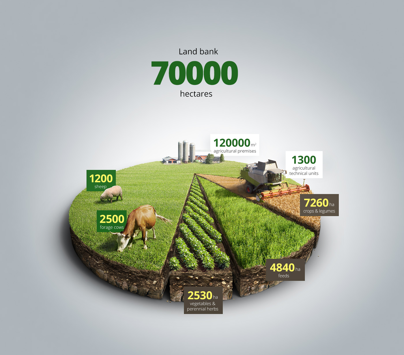 Infographic Agro Chart Illustration (data visualization) by Anton