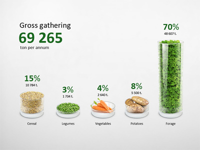 Infographic Gross gathering Chart Illustration 3d annual carrot cereal chart data diagram forage glass graph graphic illustration info infographic infographics information peas plot potato report retouch visualization wheat