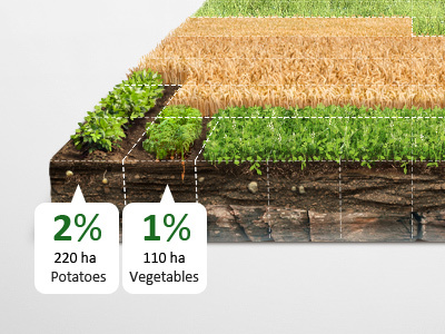 Infographic Area Chart Illustration (data visualization) carrot chart collage data diagram grass illustration infographic infographics matte pea potato retouch visualization wheat