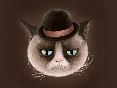 Grumpy Cat cat grumpy grumpycat