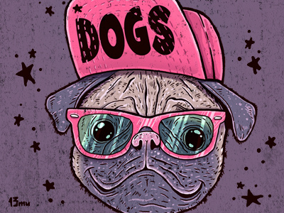 Dogs 13mu cap dog glasses illustration pug stars swag