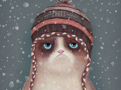 No! cap christmas grumpy cat new year no snow winter
