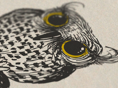 Owl (WIP) owl progress wip