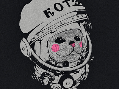 Котэ-космонафтэ 1961 april 12 cat cosmonaut fun gagarin helm kote space