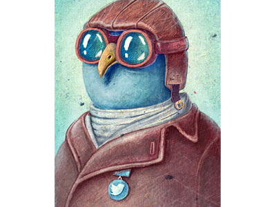 Pilot Captain Ivan Twittor (last) 13mu bird captain glasses helm pilot twitter