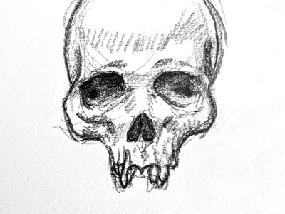 Skull Study illustrataion pencil drawing sketch