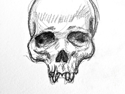 Skull Study