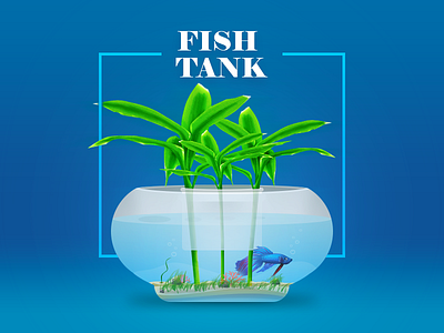 Fish Tank fish tank