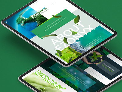 Ezonyx Website Design brand identity branding design design graphic design ui ui ux webdesign website website design
