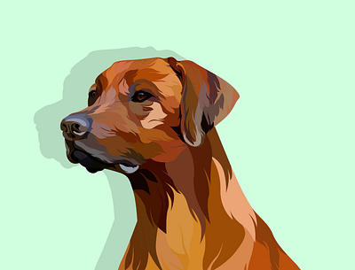 Vector pet 3d animation 3d artist animal art beauty blender3d design illustration pen pet pet animal typography vector