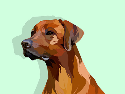 Vector pet 3d animation 3d artist animal art beauty blender3d design illustration pen pet pet animal typography vector