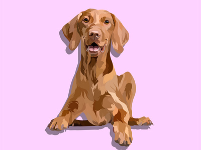 pet dog 3d animation beauty branding design ux vector